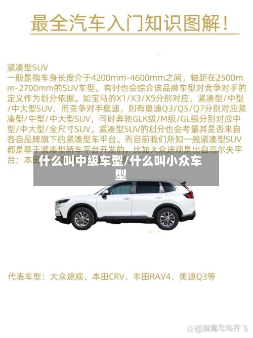 什么叫中级车型/什么叫小众车型-第2张图片