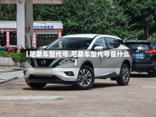 【尼桑车型代号,尼桑车型代号是什么】