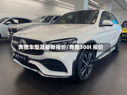 奔弛车型及最新报价/奔弛300l 报价-第2张图片