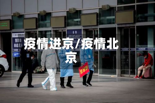 疫情进京/疫情北京-第2张图片