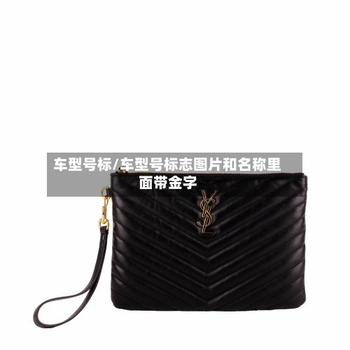 车型号标/车型号标志图片和名称里面带金字