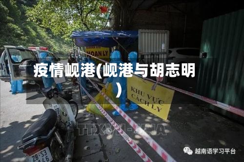 疫情岘港(岘港与胡志明)