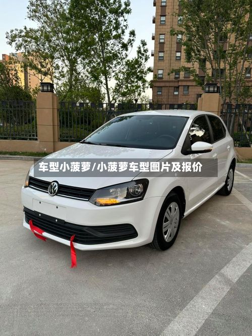 车型小菠萝/小菠萝车型图片及报价-第2张图片