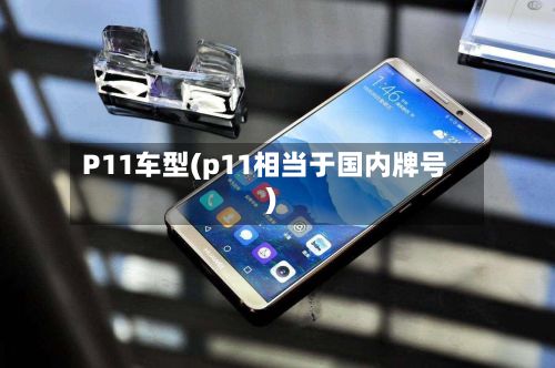P11车型(p11相当于国内牌号)-第3张图片