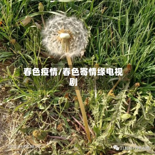 春色疫情/春色寄情缘电视剧