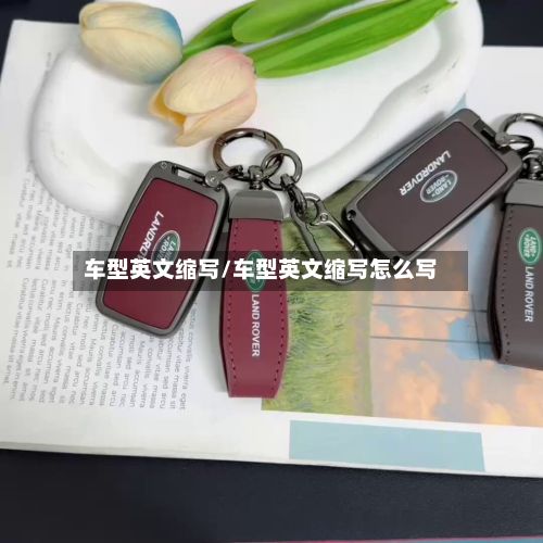 车型英文缩写/车型英文缩写怎么写-第2张图片