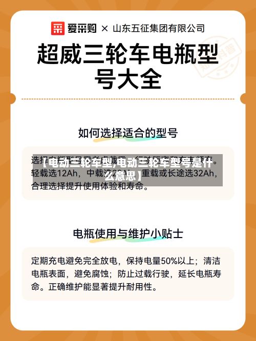 【电动三轮车型,电动三轮车型号是什么意思】