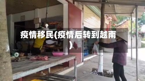 疫情移民(疫情后转到越南)-第3张图片