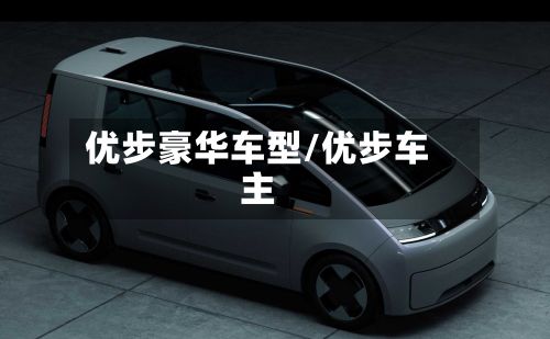 优步豪华车型/优步车主