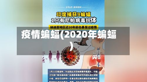 疫情蝙蝠(2020年蝙蝠)-第2张图片