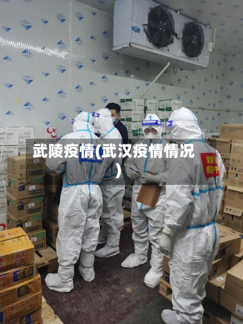 武陵疫情(武汉疫情情况)-第3张图片