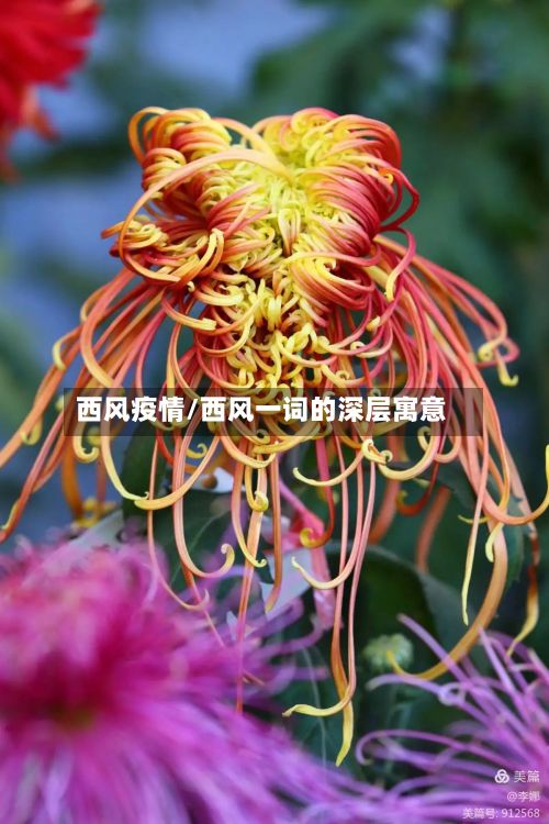 西风疫情/西风一词的深层寓意