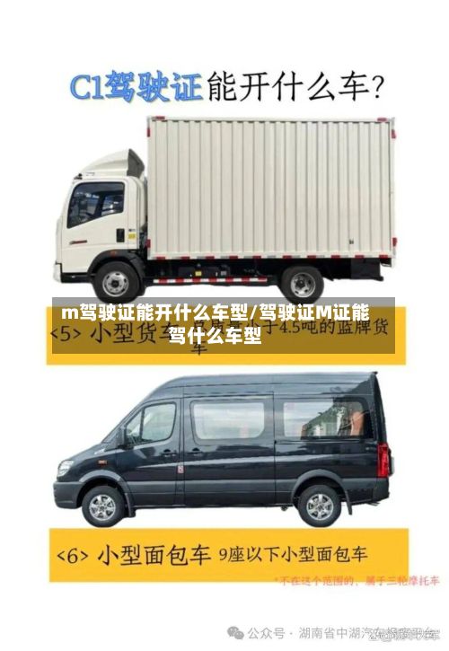 m驾驶证能开什么车型/驾驶证M证能驾什么车型-第2张图片