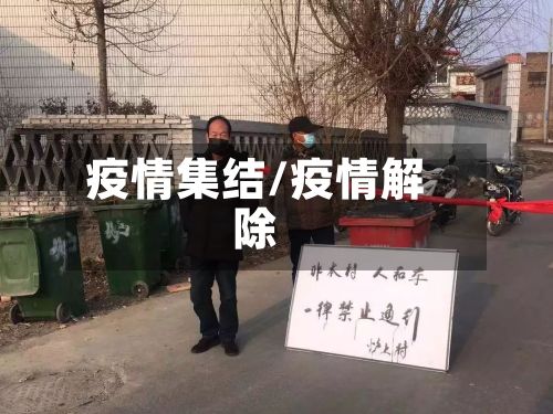 疫情集结/疫情解除