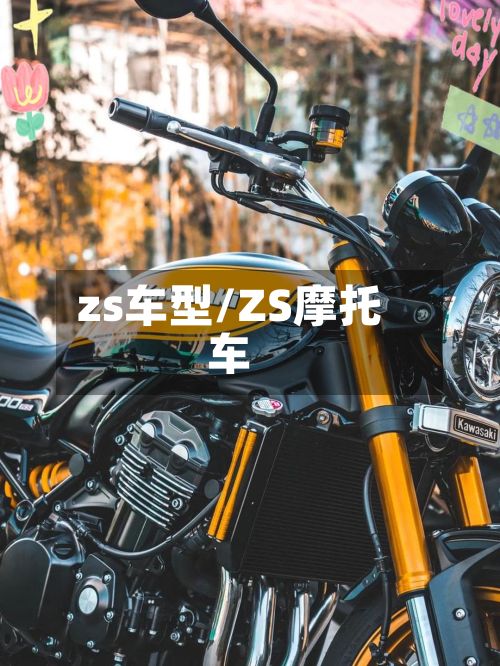 zs车型/ZS摩托车-第2张图片