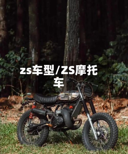 zs车型/ZS摩托车-第3张图片
