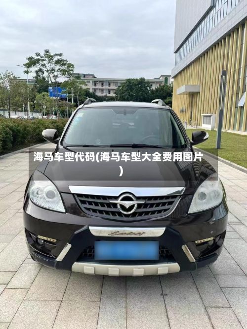 海马车型代码(海马车型大全费用图片)-第2张图片