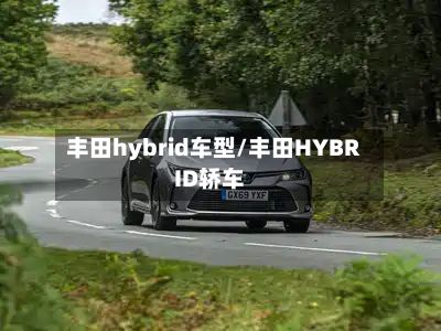 丰田hybrid车型/丰田HYBRID轿车
