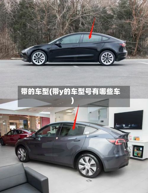 带的车型(带y的车型号有哪些车)-第2张图片