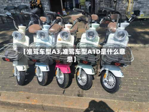 【准驾车型A3,准驾车型A1D是什么意思】-第3张图片