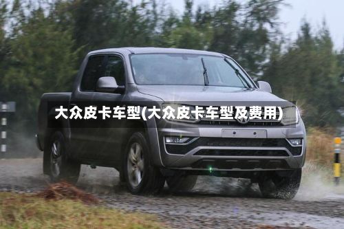 大众皮卡车型(大众皮卡车型及费用)