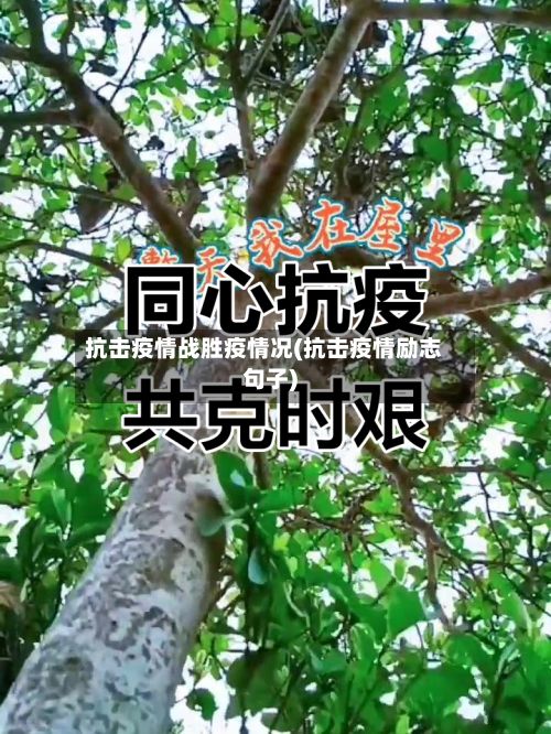 抗击疫情战胜疫情况(抗击疫情励志句子)-第2张图片