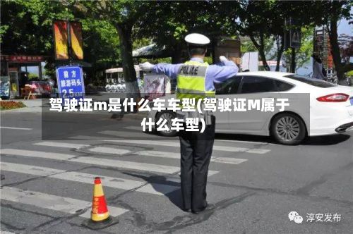 驾驶证m是什么车车型(驾驶证M属于什么车型)
