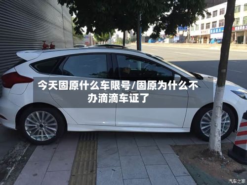 今天固原什么车限号/固原为什么不办滴滴车证了