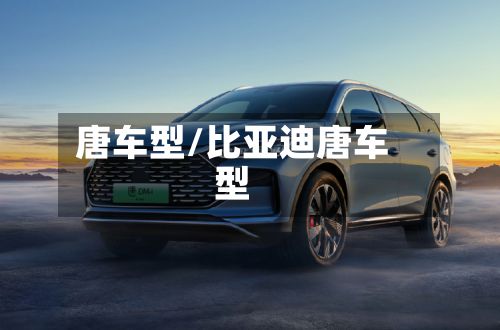 唐车型/比亚迪唐车型