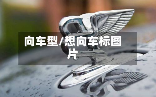 向车型/想向车标图片