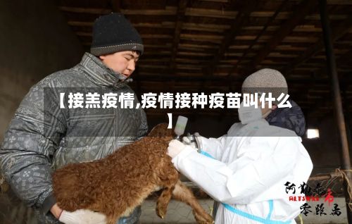 【接羔疫情,疫情接种疫苗叫什么】