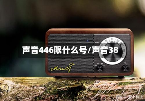 声音446限什么号/声音38