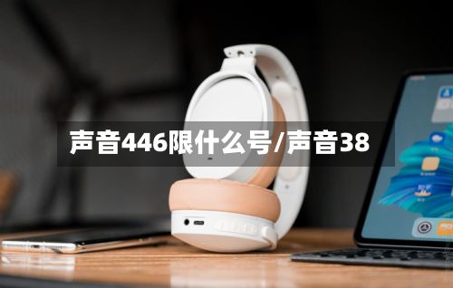声音446限什么号/声音38-第3张图片