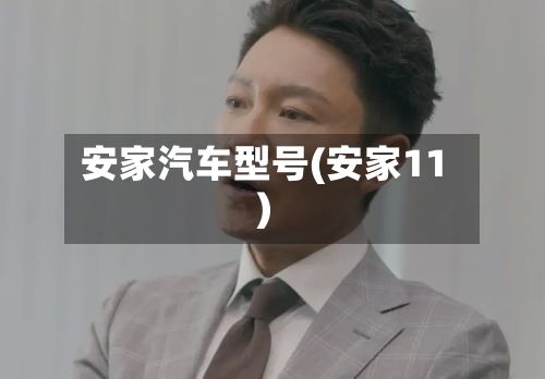 安家汽车型号(安家11)-第2张图片
