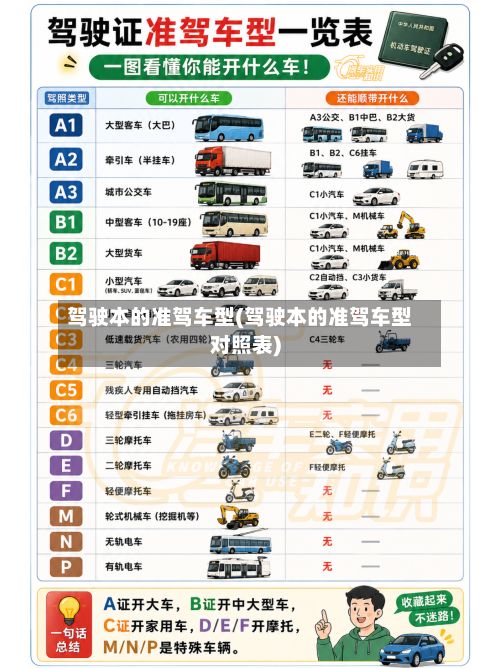 驾驶本的准驾车型(驾驶本的准驾车型对照表)