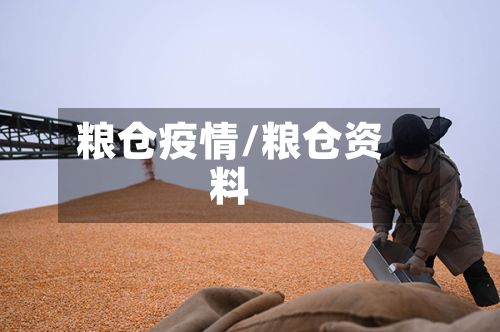 粮仓疫情/粮仓资料