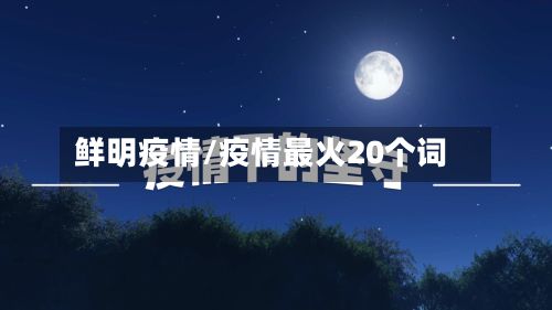 鲜明疫情/疫情最火20个词