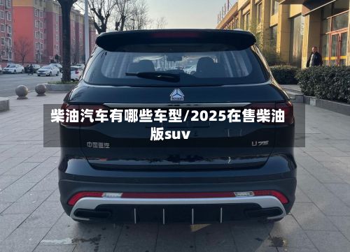 柴油汽车有哪些车型/2025在售柴油版suv