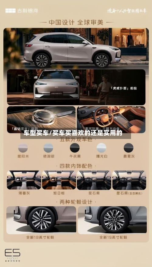 车型买车/买车买喜欢的还是实用的