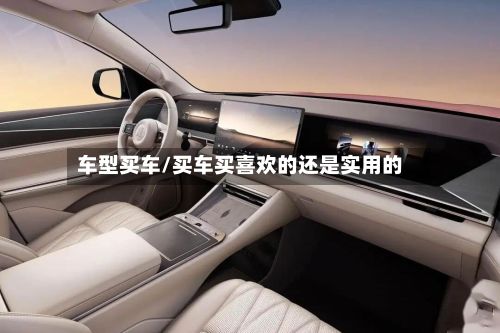 车型买车/买车买喜欢的还是实用的-第3张图片