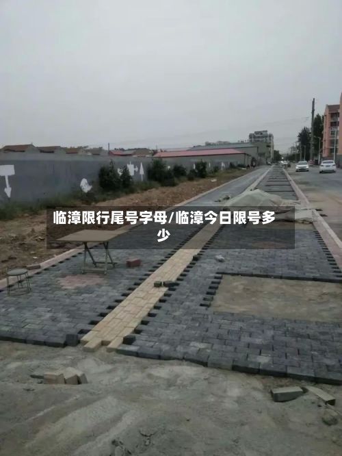 临漳限行尾号字母/临漳今日限号多少-第2张图片