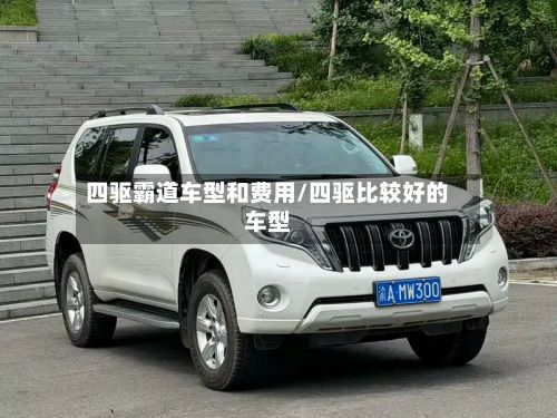 四驱霸道车型和费用/四驱比较好的车型