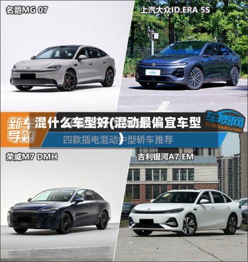 混什么车型好(混动最偏宜车型)-第2张图片