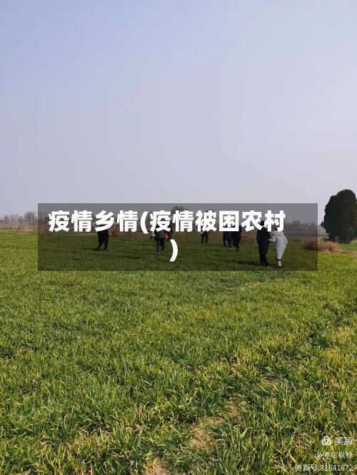 疫情乡情(疫情被困农村)-第3张图片