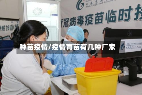 种苗疫情/疫情育苗有几种厂家-第3张图片