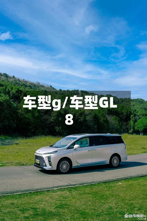 车型g/车型GL8