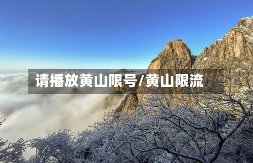 请播放黄山限号/黄山限流-第3张图片
