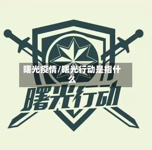 曙光疫情/曙光行动是指什么