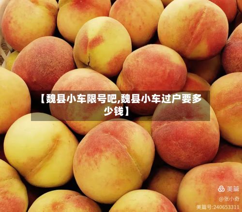 【魏县小车限号吧,魏县小车过户要多少钱】-第3张图片