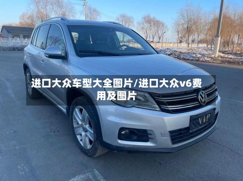 进口大众车型大全图片/进口大众v6费用及图片-第3张图片
